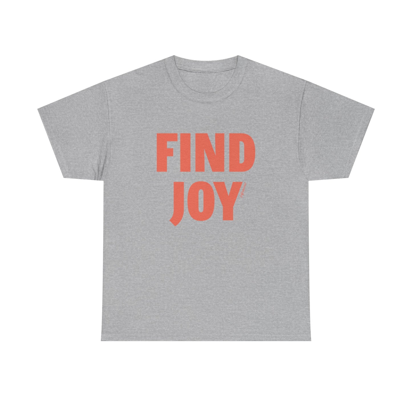 Find Joy Heavyweight T-Shirt