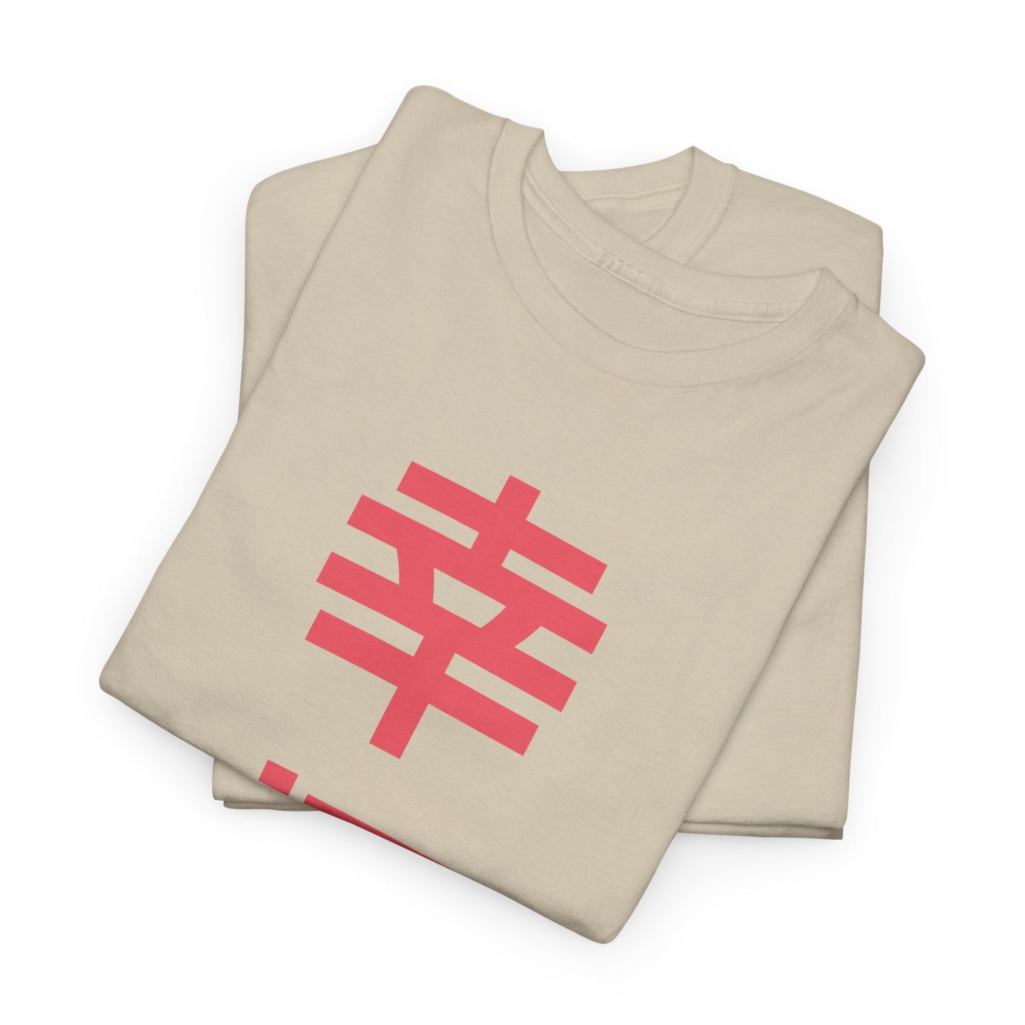 Japanese 'Happiness' Heavyweight T-Shirt in Pink