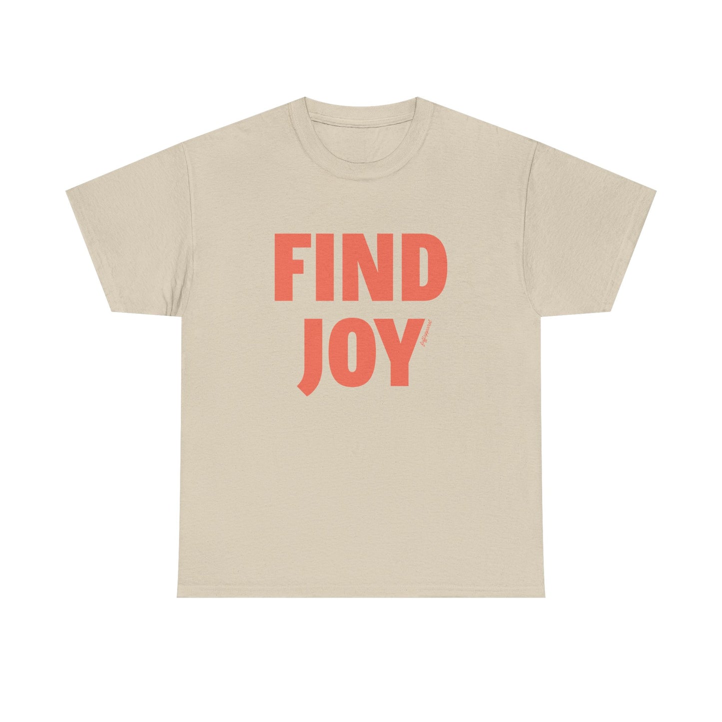 Find Joy Heavyweight T-Shirt