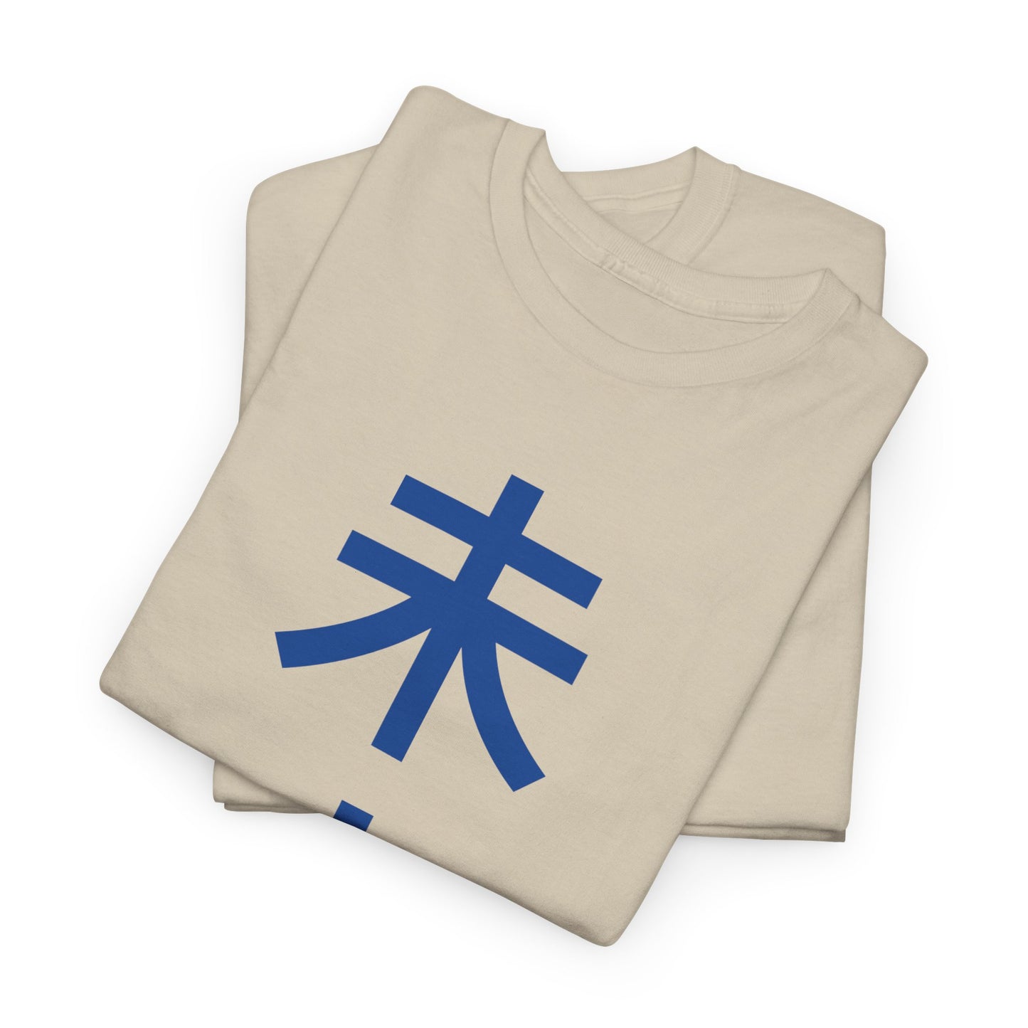 Japanese 'Future' Heavyweight T-Shirt in Blue