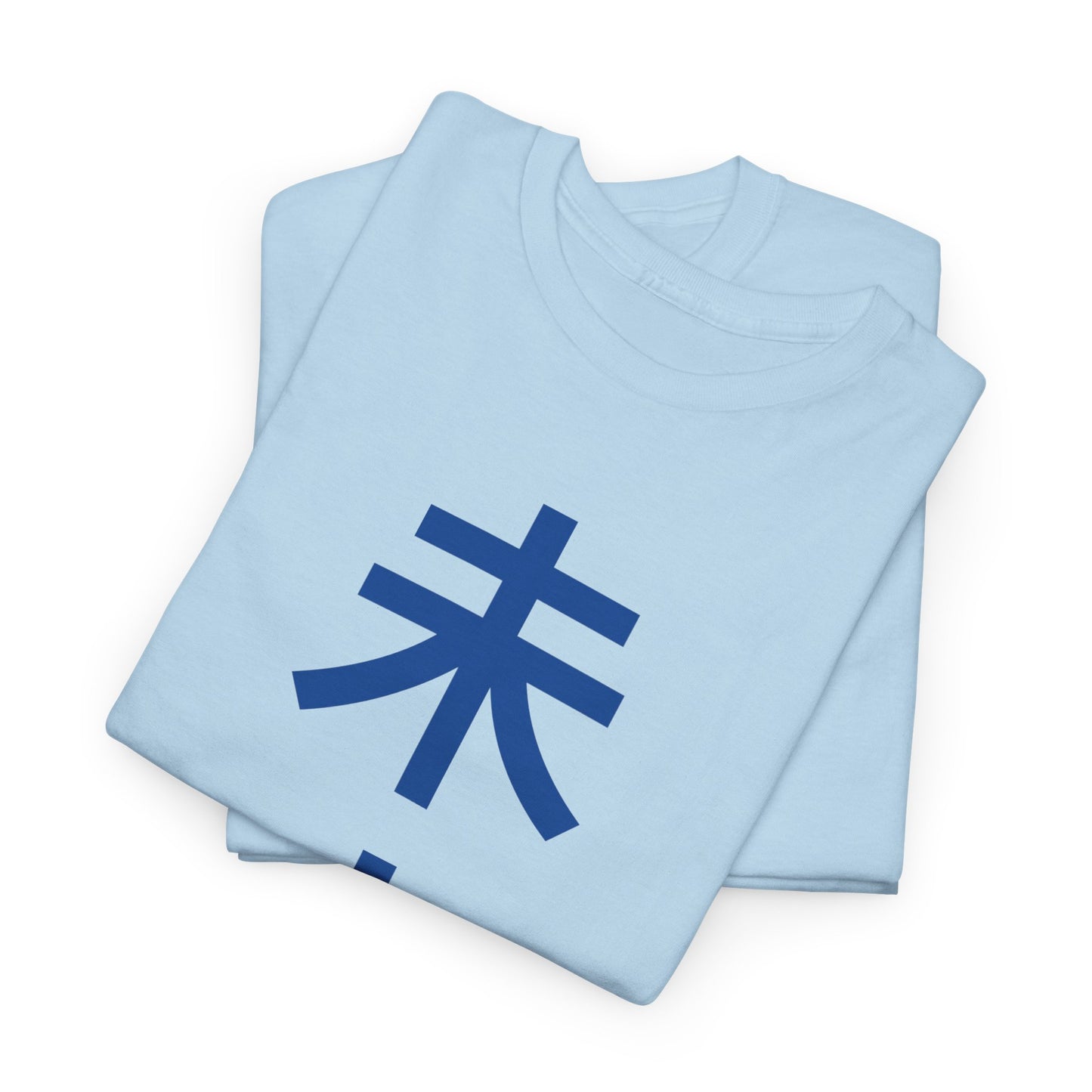 Japanese 'Future' Heavyweight T-Shirt in Blue