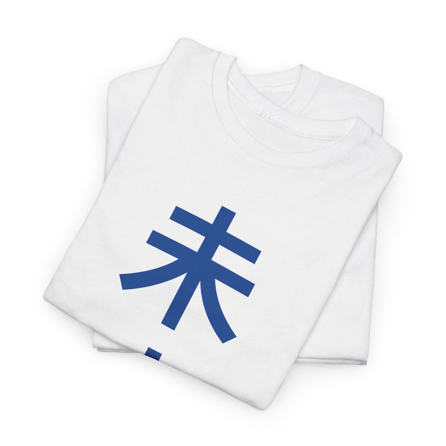 Japanese 'Future' Heavyweight T-Shirt in Blue